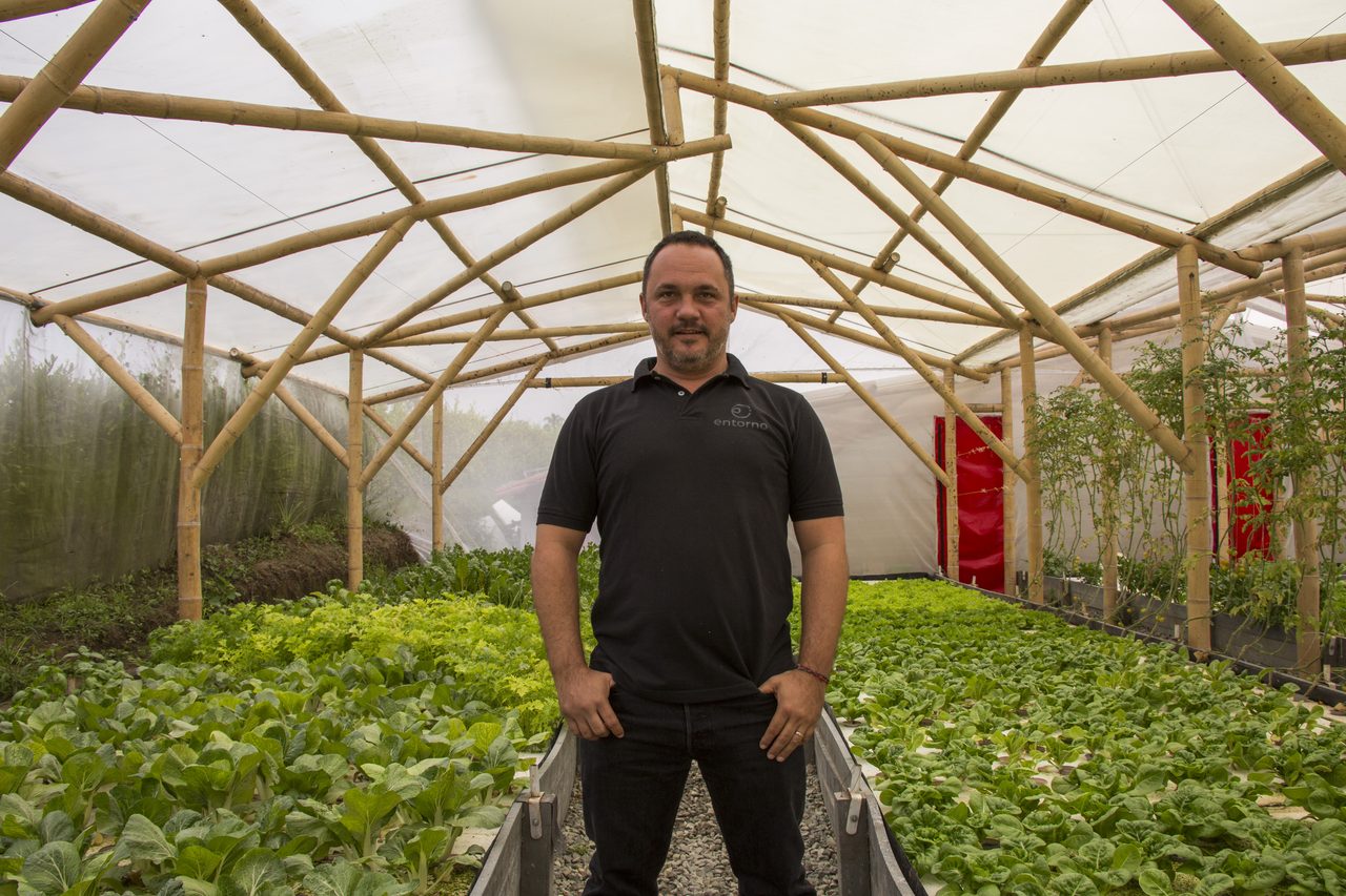 Productor Bofish entre las hileras de cultivo de su invernadero